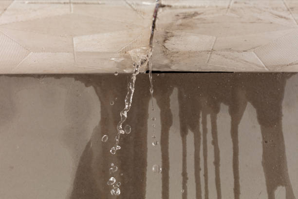 Professional Burst Pipe Cleanup technician working in Gratiot, OH